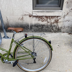 2021 Retrospec Beaumont Green