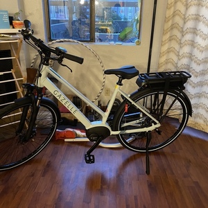 2021 Gazelle Medeo T9 Low-Step Blue