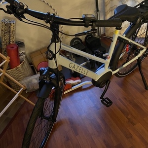 2021 Gazelle Medeo T9 Low-Step Blue