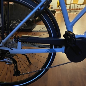 2021 Gazelle Medeo T9 Low-Step Blue