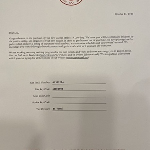 2021 Gazelle Medeo T9 Low-Step Blue