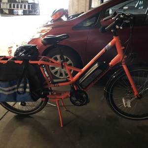 2019 Rad Power Bikes RadWagon 3 cargo bike (rear storage) Orange