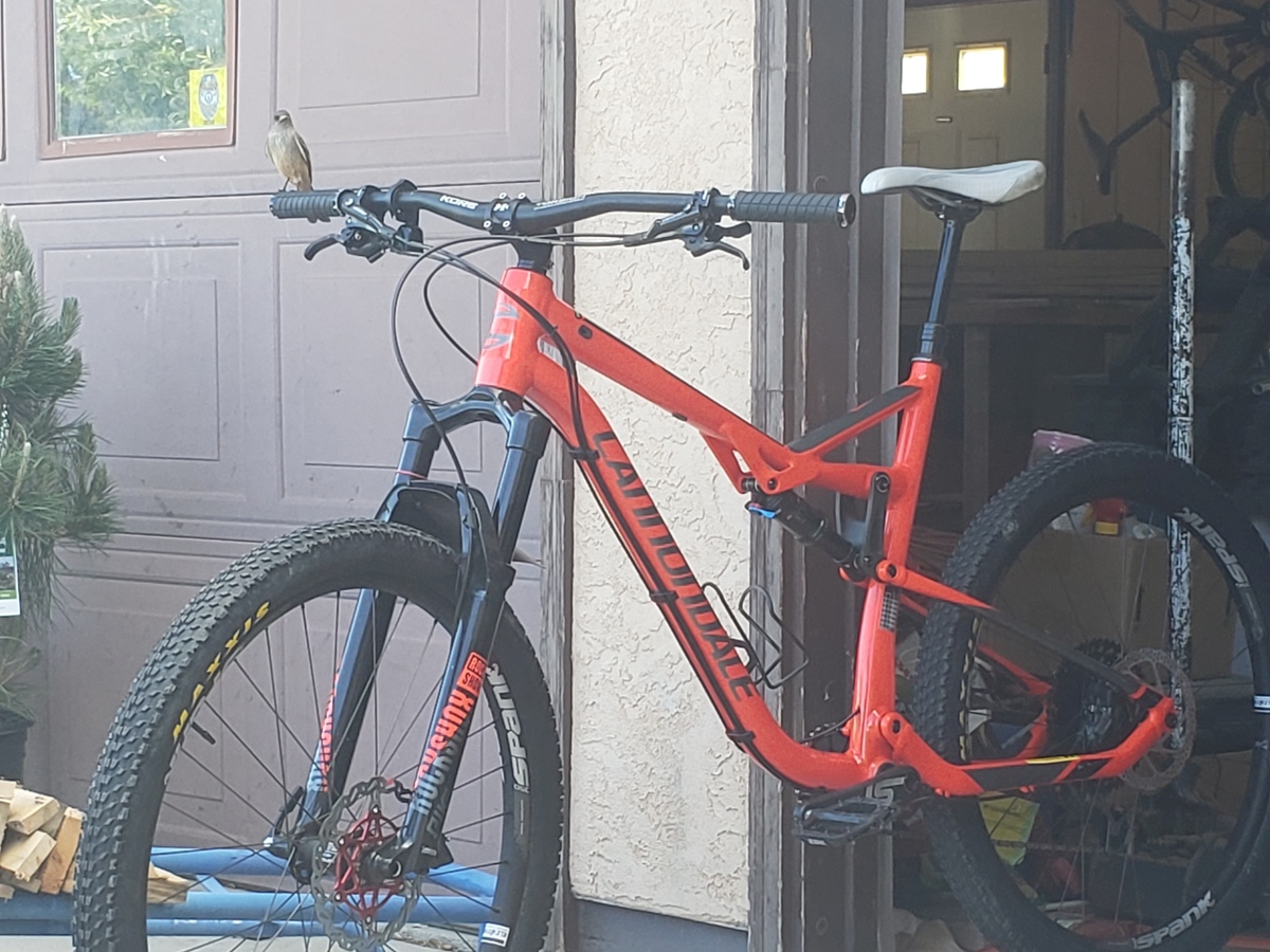 Bike photo