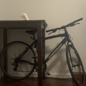2011 Diamondback Insight 1 Blue