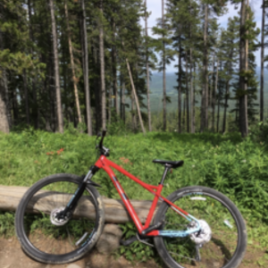 2020 GT Bicycles Avalanche Red