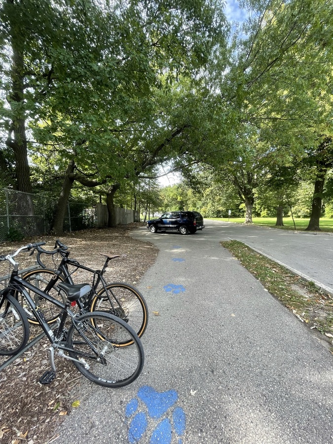 Bike photo