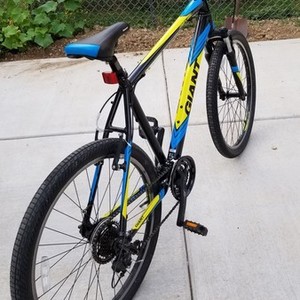 2018 Giant Revell 2 Black, Yellow or Gold, and Blue