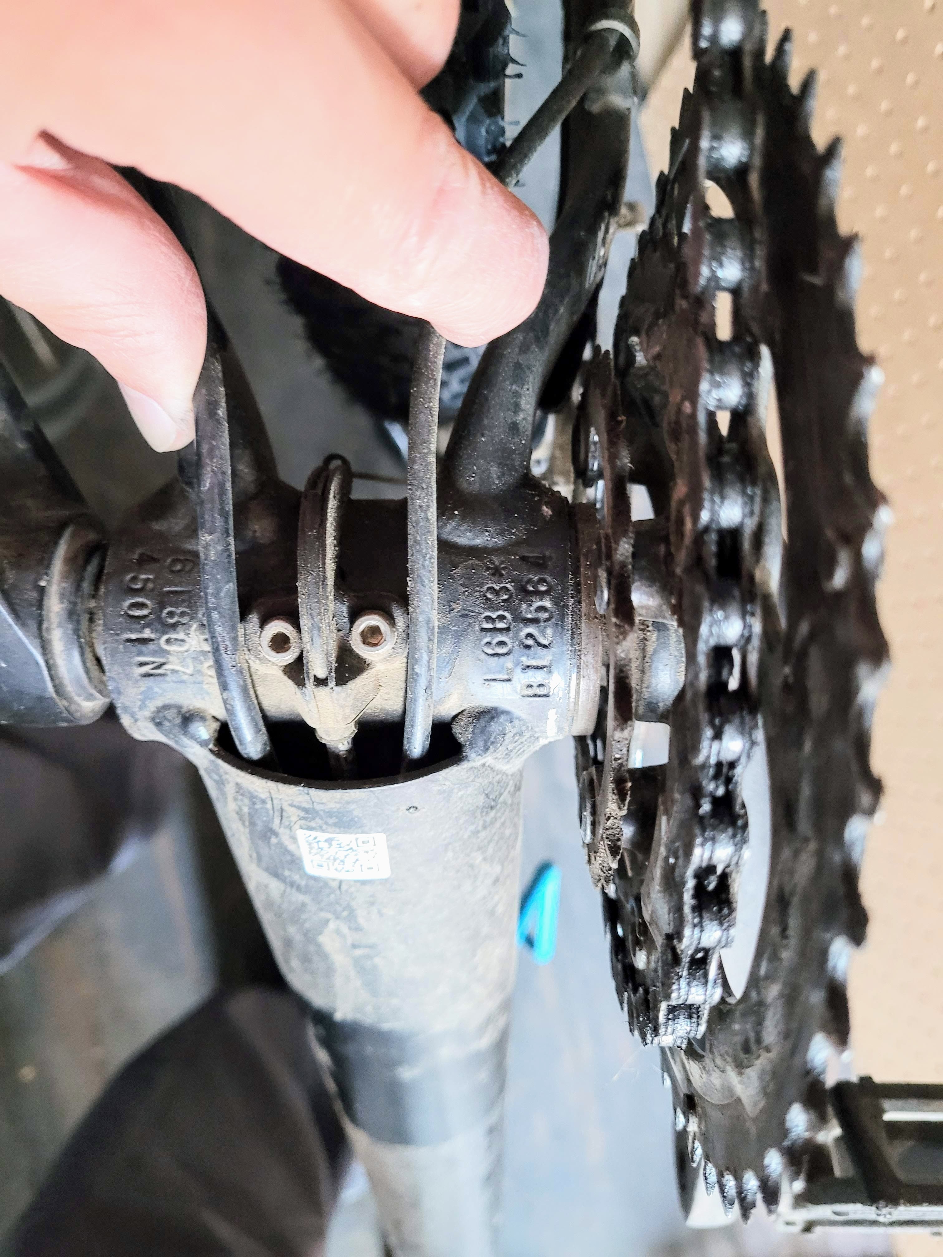 specialized rockhopper comp 2020