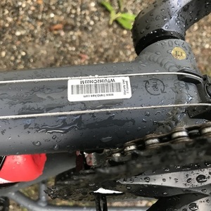 2017 Trek Skye Silver, gray or bare metal