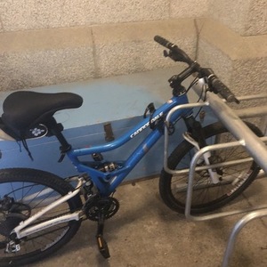 Cannondale Blue