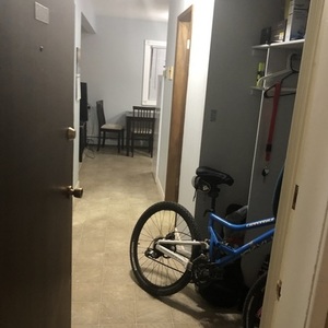 Cannondale Blue