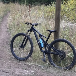 2019 Specialized Stumpjumper FSR ST 29 Medium Black