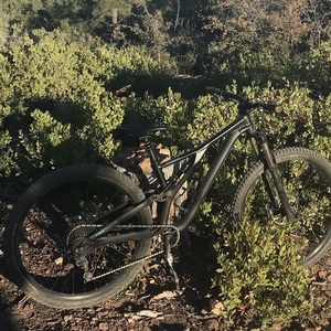2019 Specialized Stumpjumper FSR ST 29 Medium Black