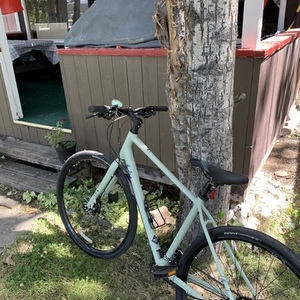 2021 Giant Alight 2 disc 3 Teal