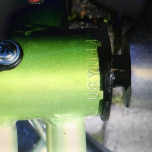 Raleigh Green