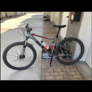 2020 GT Bicycles Avalanche Silver, gray or bare metal and Red