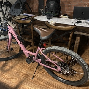 2019 Specialized Roll Sport Low Entry Purple