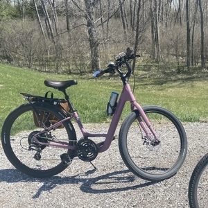 2019 Specialized Roll Sport Low Entry Purple