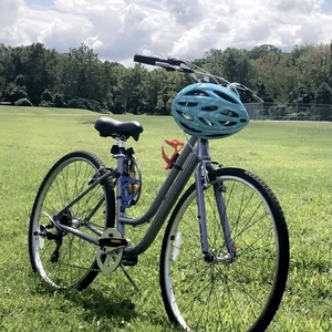 2019 Fuji U shape Purple