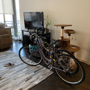 2019 Fuji U shape Purple