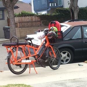 2019 Rad Power Bikes Radwagon Orange