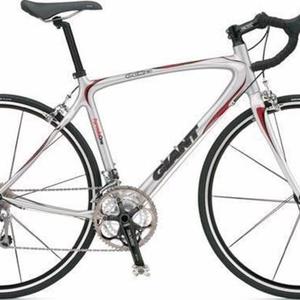 2006 Giant Silver, gray or bare metal