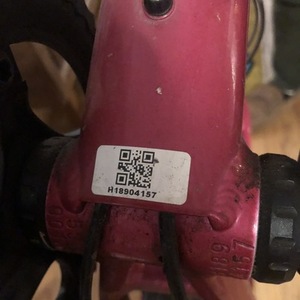 2019 Salsa Journeyman Pink