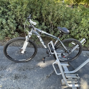 Fuji Silver, gray or bare metal