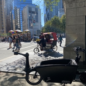 2019 Urban Arrow Family Black