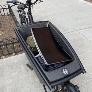 2019 Urban Arrow Family Black