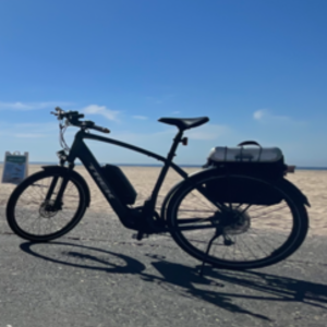 2020 Trek Allant+ 7S Blue