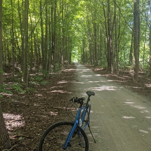 2019 Trek FX2 Blue