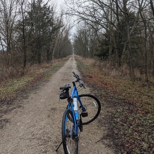 2019 Trek FX2 Blue