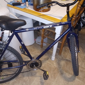 AutoBike Shimano HG22 Purple