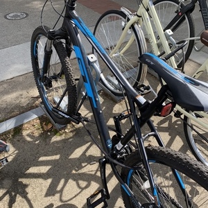 GT Bicycles Black and Blue