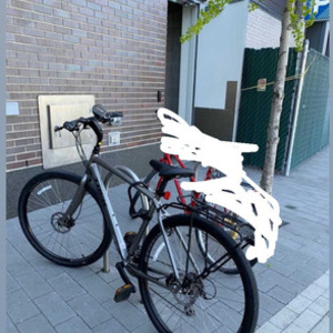 2020 Trek Silver, gray or bare metal
