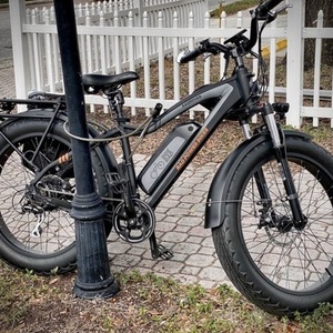 2019 Rad Power Bikes 6061 aluminum Black