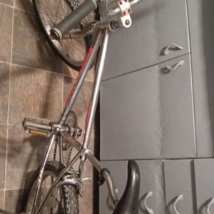 1993 Redline Rl440 Silver, gray or bare metal