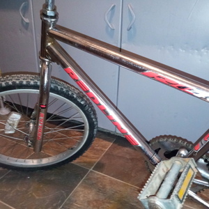 1993 Redline Rl440 Silver, gray or bare metal
