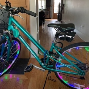2020 Schwinn Teal