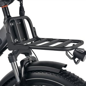 2021 Rad Power Bikes MS1C21V0799 Black and Yellow or Gold