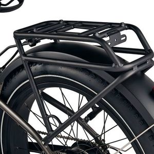 2021 Rad Power Bikes MS1C21V0799 Black and Yellow or Gold