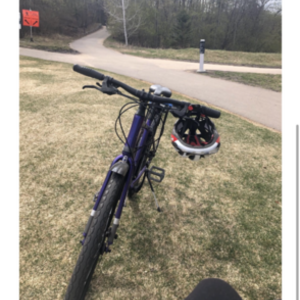 Norco Bikes Purple