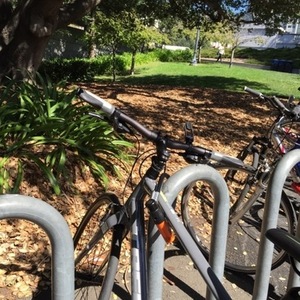 2015 Trek 7.4fx Silver, gray or bare metal