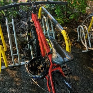 2021 Trek Marlin 4 Red