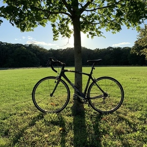 2008 Giant OCR C3 Black