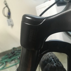 2020 Giant Black