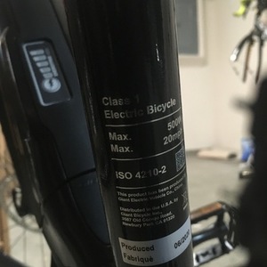 2020 Giant Black