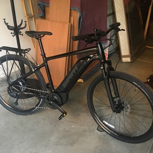 2020 Giant Black