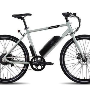 2021 Rad Power Bikes RadMission Silver, gray or bare metal